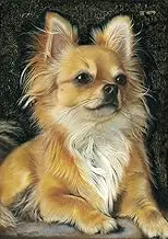5D Diamond Art Painting Full Drill Kits, Awesocrafts Chihuahua Dog Animals DIY Mosaic Cross Stitch for Adults Kids (Chihuahua)