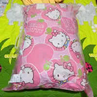 在飛比找Yahoo!奇摩拍賣優惠-￼台灣製 冬夏鋪棉兩用睡袋 Hello kitty兒童睡袋/