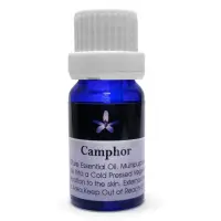 在飛比找momo購物網優惠-【Body Temple】樟木芳療精油10ml(Campho