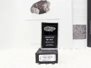 NWA 15018 Lunar Meteorite for Sale, Own an Authentic Moon Rock, Certified