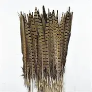 SGYLBDXIN 10Pcs/Lot Pheasant Feathers Crafts Crown Stripe Feather Wedding Decor Long Feather 15-20cm 6-8inch-30-35cm 12-14inch