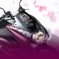 在飛比找蝦皮購物優惠-YAMAHA SMAX 3M反光雙色大盾裝飾貼紙