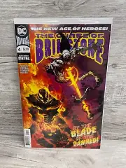 DC Comics The Curse of Brimstone #4 2018 The New Age of Heroes Comic Book