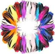 FeelfunFeather 120pcs Mix Colur Mallard Duck Feathers 4-6 inch 10-15cm Bulk for Crafts Carnival Handwork Clothing Costumes Hair Hats Crafts Home Wedding Party Decoration Duck Feathers