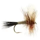 1/2 Dozen Adams Wulff Dry Flies