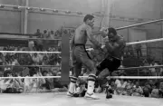 Wilfred Benitez Knocks Out Maurice Hope Old Boxing Photo