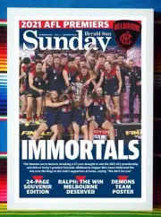 Framed 2021 MELBOURNE DEMONS AFL Premiers Poster - 45cm x 32cm x 3cm