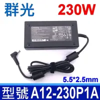 在飛比找PChome24h購物優惠-群光 Chicony 230W 變壓器 A12-230P1A