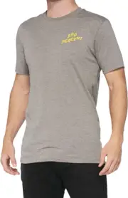 100% Dakota T-Shirt (Sm, Heather Gray)