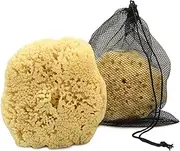 Real Sea Sponge for Men - Extra Large 6"-7", Totally Natural, Kind on Skin for an Invigorating Shower, Supplied in Breathable Mesh Bag. Great for The Gym, Grooming, Bath & Body Gift by Constantia Man