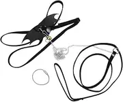 Happyyami 1 Set Lizard Leash and Harness for Reptiles Durable Fluff and Material for Bearded Dragons and Geckos for