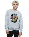 Marvel Men's Ant-Man Split Helmet Sweatshirt