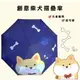 [降溫&擋雨]抗UV自動開收折傘/雨傘/雨陽傘-我愛柴犬