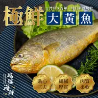 在飛比找蝦皮購物優惠-瓏鰉海鮮【極鮮台灣海水養殖大黃魚】500g-600g/尾 每