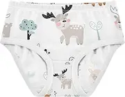 [Caihoyu] Girls' Cotton Briefs Girls' Hipster Triangle Panties Breathable Underwear for Kids in Sizes 2T,3T, 4T, 5T, 6Y and 8Y