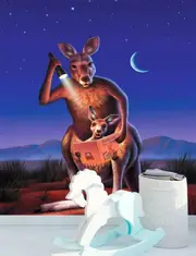 Cute Kangaroo Wall Mural AM35