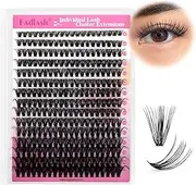 Cluster Lashes 300Pcs Mix 8-20mm individual lashes 40D D Curl Lash Clusters DIY Eyelash Extensions Wispy Individual Lash Extensions Thin Band Soft Eyelash Clusters to Use at Home (40D-0.07-D,8-20mm)