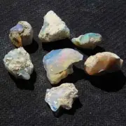 100% Natural Multi Color Fire Ethiopian Opal Rough Loose Gemstone Lot 7 Pcs