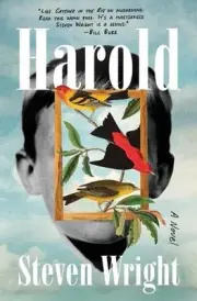 Harold by Steven Wright Paperback Book