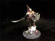 Warhammer AOS DPS Painted Hedonites of Slaanesh Lord of Hubris SK4871