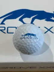 Titleist Pro V1X Grove XXXIII 23 Michael Jordan Single Golf Balls