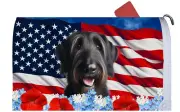 Irish Wolfhound Patriotic Mail Box Cover