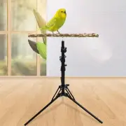 Height Adjustable Parrot Perch Toy Gnawing Play Supplies Parrot Perches