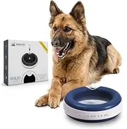 Torus 2-Liter Water Bowl, Blue
