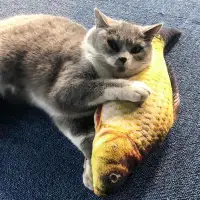 在飛比找蝦皮購物優惠-Pet Soft Plush Fish Shape Cat 