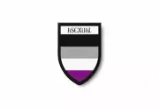 PATCH PATCHES EMBLEM IRON ON GLUE PRINT FLAG world crest asexual rainbow lgbt