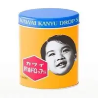 在飛比找蝦皮購物優惠-現貨 日本Kawai 康喜 健鈣 魚肝油 300粒