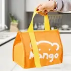 Bento Tote Bag Moisture-proof Zipper Closure Portable Picnic Hiking Thermal