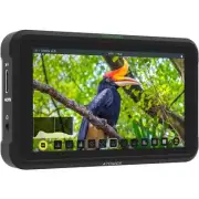 Atomos Shinobi 5 " 4K HDMI Monitor