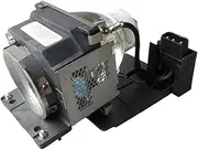 Projector Lamp with Housing 5J.J2K02.001 for BE-NQ W500