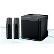 Karaoke Machine With 2 Wireless Microphones Outdoor Portable Bluetooth Speaker