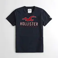 在飛比找Yahoo奇摩購物中心優惠-Hollister HCO 短袖 T恤 藍色 0960