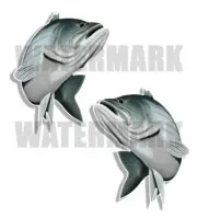 Striped Bass Decals Fish Stickers Tackle Box RV Truck Trailer AFP-0123v2