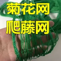 在飛比找樂天市場購物網優惠-瓜果植物爬藤網黃瓜豆角種植網菊花網月季攀爬網庭院園藝搭架網