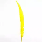 20" to 30" Silver Pheasant Tail Feather - Yellow
