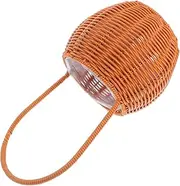 HANABASS Basket Woven Storage Bins Iron Frame Brown