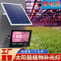 在飛比找蝦皮商城精選優惠-【2022年新款】太陽能充電led植物生長燈 植物補光多肉花
