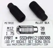 M12-1.75X30MM HEX SOCKET SET SCREWS DOG POINT ALLOY STEEL BLACK (5)