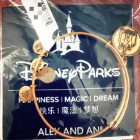 在飛比找蝦皮購物優惠-ALEX & ANI 上海迪士尼樂園限定手環