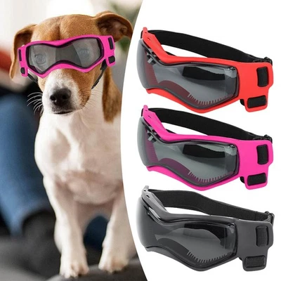 Pet dog snow sunglasses goggles UV dog goggles eye protection windproof