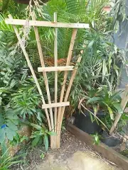 Timber Garden Trellis - Fan shaped (1500 x 800) - H3 Treated Pine.