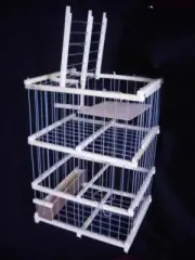 Parrot Pigeon and Big Birds : : Trap Cage