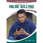 TEENS DEALING WITH ONLINE BULLYING