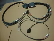BIG DOG MOTORCYCLES MAIN WIRING HARNESS 2005 BULLDOG POWER & BACKBONE HARNESS