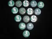 Michigan State Spartons buttons flat back or pin badge cabochons magnets