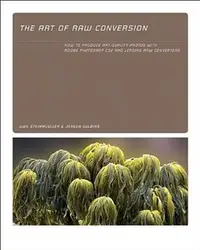 在飛比找天瓏網路書店優惠-Art of RAW Conversion: How to 